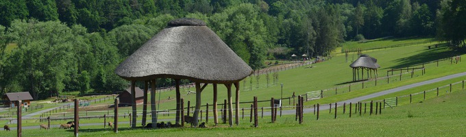 Ilustrační obrázek - Farmapark Soběhrdy