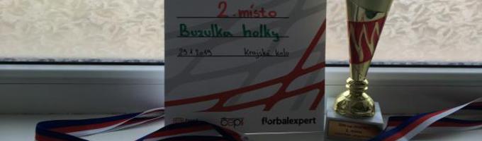 Ilustrační obrázek - KRAJSKÉ KOLO FLORBALU - HOLKY