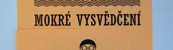 Ilustrační obrázek - Poslední plavání