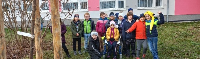 Ilustrační obrázek - Sázení stromu