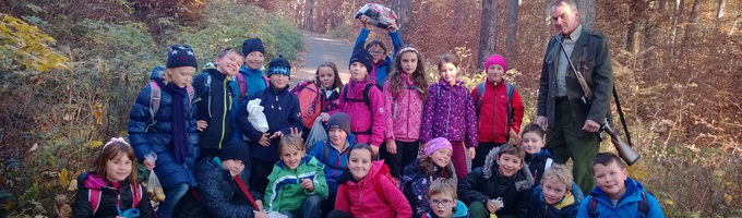 Ilustrační obrázek - Krmení zvěře - les u Dubí