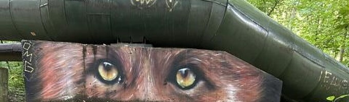 Ilustrační obrázek - Ukliďme Česko - lesopark Řetenice