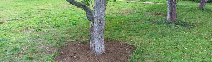 Ilustrační obrázek - Patronáty