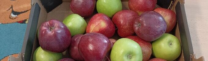 Ilustrační obrázek - Projekt Ovoce do škol