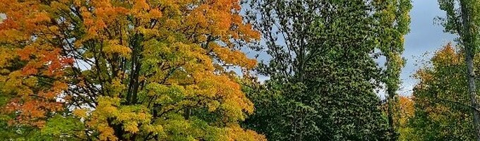 Ilustrační obrázek - Přichází podzim