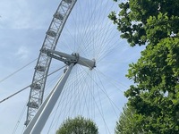 Fotografie 156 - Ohlédnutí za naší výpravou do Velké Británie 26. 4. – 2. 5. 2025