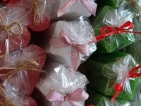 Fotografie 2 - Den otevřených dveří se povedl