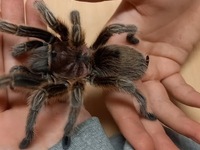 Fotografie 7 - Den otevřených dveří se povedl