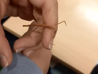 Fotografie 8 - Den otevřených dveří se povedl