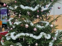 Fotografie 10 - Den otevřených dveří se povedl