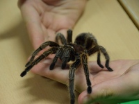 Fotografie 40 - Den otevřených dveří se povedl