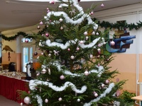 Fotografie 43 - Den otevřených dveří se povedl