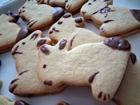 Fotografie 13 - DOD – Jarmark na Buzulce