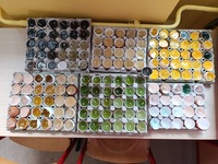 Fotografie 102 - DOD – Jarmark na Buzulce