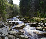 Fotografie 3 - ŠUMAVA 2017