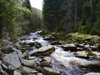 Fotografie 3 - ŠUMAVA 2017