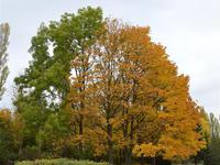 Fotografie 74 - Den otevřených dveří 17. 10. 2019