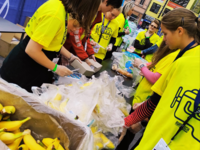 Fotografie 5 - Práce dobrovolníka na Mattoni  1/2 maratonu v Ústí nad Labem