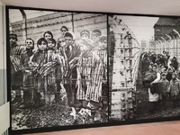 Fotografie 16 - Osvětim – za hrůzami holocaustu