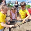Fotografie 13 - Na pozemku - setí a sázení