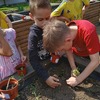 Fotografie 14 - Na pozemku - setí a sázení