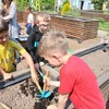 Fotografie 16 - Na pozemku - setí a sázení