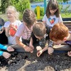 Fotografie 19 - Na pozemku - setí a sázení