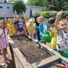 Fotografie 23 - Na pozemku - setí a sázení