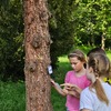 Fotografie 18 - Dopravní výchova na školním hřišti