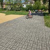 Fotografie 22 - Dopravní výchova na školním hřišti
