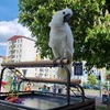 Fotografie 21 - Dopravní hřiště 2025