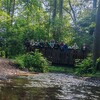 Fotografie 2 - ŠvP Plasy - 31. 5. - 1. den