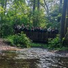 Fotografie 18 - ŠvP Plasy - 31. 5. - 1. den