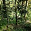 Fotografie 6 - ŠvP Plasy - 2.den - procházka podél Střely