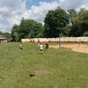 Fotografie 19 - ŠvP Plasy - 2.den - procházka podél Střely