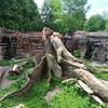 Fotografie 4 - ŠvP Plasy - 4. den - minizoo