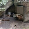 Fotografie 5 - ŠvP Plasy - 4. den - minizoo