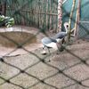 Fotografie 6 - ŠvP Plasy - 4. den - minizoo