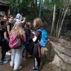 Fotografie 7 - ŠvP Plasy - 4. den - minizoo