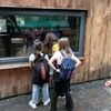 Fotografie 8 - ŠvP Plasy - 4. den - minizoo