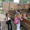 Fotografie 9 - ŠvP Plasy - 4. den - minizoo