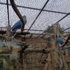 Fotografie 13 - ŠvP Plasy - 4. den - minizoo