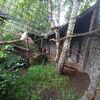Fotografie 17 - ŠvP Plasy - 4. den - minizoo