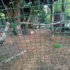 Fotografie 21 - ŠvP Plasy - 4. den - minizoo