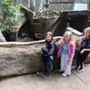 Fotografie 23 - ŠvP Plasy - 4. den - minizoo