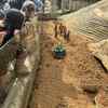 Fotografie 5 - ŠvP den čtvrtý: Adventure minigolf mezi zvířaty
