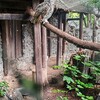 Fotografie 7 - ŠvP Plasy - 2. 6. - 3. den