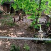 Fotografie 58 - ŠvP Plasy - 2. 6. - 3. den
