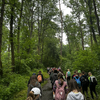 Fotografie 5 - ŠKOLA V PŘÍRODĚ - 4. DEN