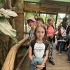 Fotografie 18 - ŠvP den pátý: Plzeňský výlet: zvířata, vláček a originální večeře
